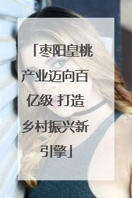 枣阳皇桃产业迈向百亿级 打造乡村振兴新引擎