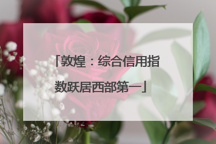 敦煌：综合信用指数跃居西部第一