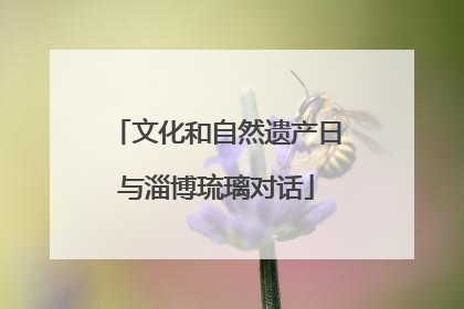 文化和自然遗产日与淄博琉璃对话