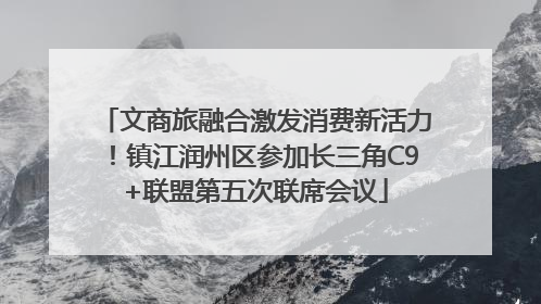 文商旅融合激发消费新活力！镇江润州区参加长三角C9+联盟第五次联席会议
