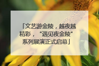 文艺游金陵，越夜越精彩，“遇见夜金陵”系列展演正式启幕