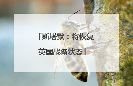 斯塔默：将恢复英国战备状态