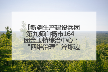 新疆生产建设兵团第九师白杨市164团金玉镇综治中心：“四维治理”淬炼边疆“枫桥样本”