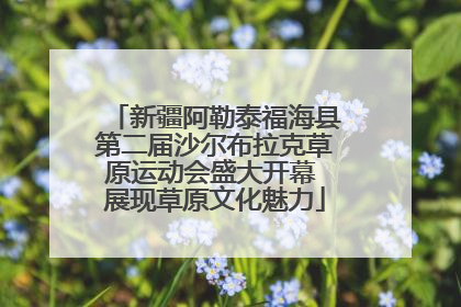 新疆阿勒泰福海县第二届沙尔布拉克草原运动会盛大开幕 展现草原文化魅力