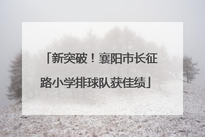 新突破！襄阳市长征路小学排球队获佳绩