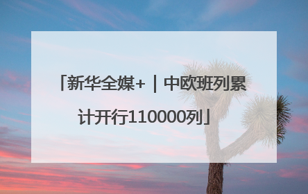 新华全媒+｜中欧班列累计开行110000列