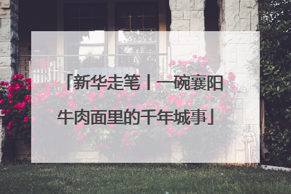 新华走笔丨一碗襄阳牛肉面里的千年城事