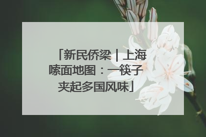 新民侨梁｜上海嗦面地图：一筷子夹起多国风味