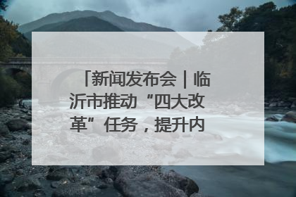 新闻发布会｜临沂市推动“四大改革”任务，提升内部审计监督效能