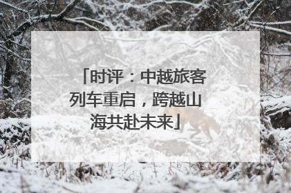 时评：中越旅客列车重启，跨越山海共赴未来