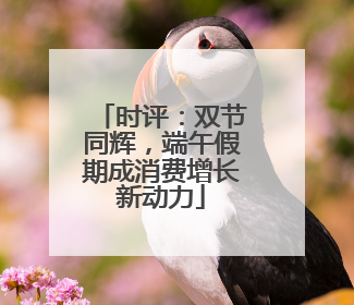 时评：双节同辉，端午假期成消费增长新动力