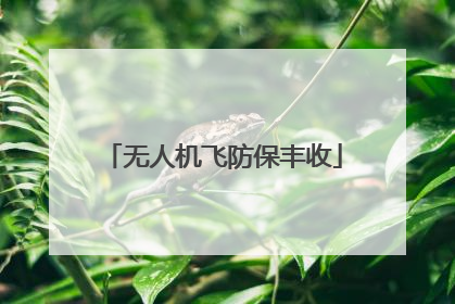 无人机飞防保丰收