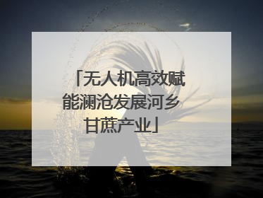 无人机高效赋能澜沧发展河乡甘蔗产业