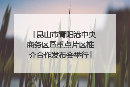 昆山市青阳港中央商务区暨重点片区推介合作发布会举行