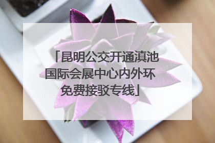 昆明公交开通滇池国际会展中心内外环免费接驳专线