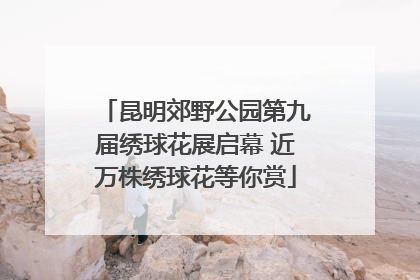 昆明郊野公园第九届绣球花展启幕 近万株绣球花等你赏