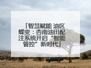 智慧赋能 油区蝶变：杏南油田配注系统开启“智能管控”新时代