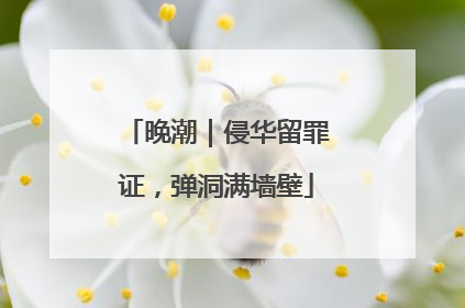 晚潮｜侵华留罪证，弹洞满墙壁