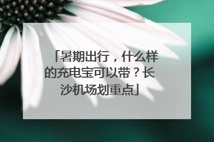 暑期出行，什么样的充电宝可以带？长沙机场划重点