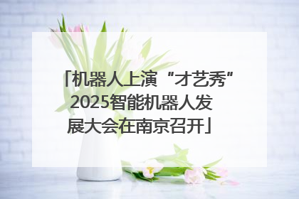 机器人上演“才艺秀” 2025智能机器人发展大会在南京召开