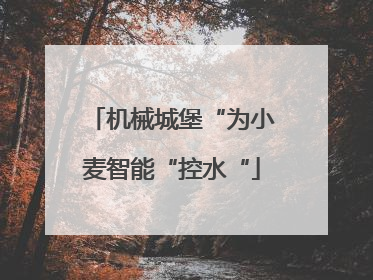 机械城堡“为小麦智能“控水“