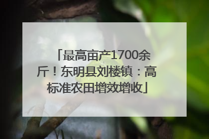 最高亩产1700余斤！东明县刘楼镇：高标准农田增效增收