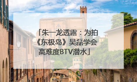 朱一龙透露：为拍《东极岛》吴磊学会高难度BTV潜水