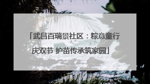 武昌百瑞景社区：粽意童行庆双节 护苗传承筑家园