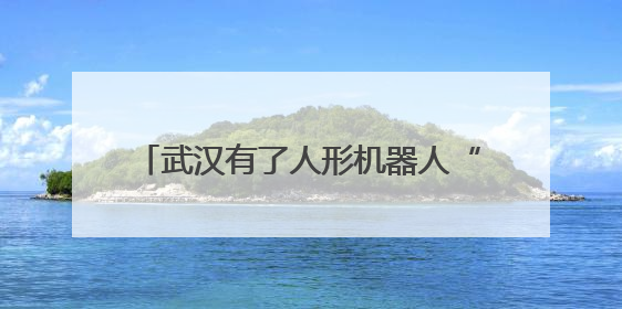 武汉有了人形机器人“学校”，“人形机器人进家庭，这是第一步”
