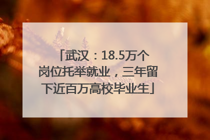 武汉：18.5万个岗位托举就业，三年留下近百万高校毕业生