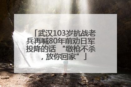 武汉103岁抗战老兵再喊80年前劝日军投降的话 “缴枪不杀，放你回家”