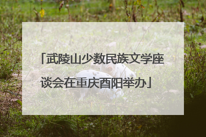 武陵山少数民族文学座谈会在重庆酉阳举办