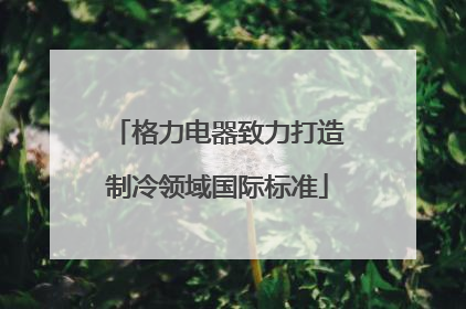 格力电器致力打造制冷领域国际标准