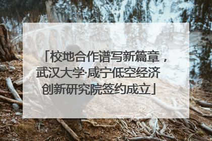 校地合作谱写新篇章，武汉大学·咸宁低空经济创新研究院签约成立