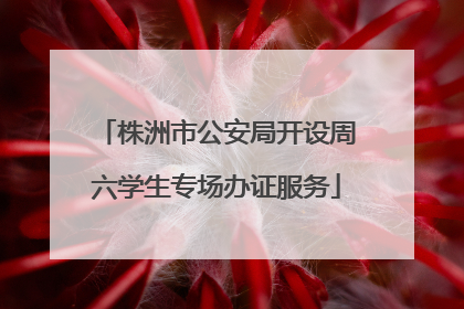 株洲市公安局开设周六学生专场办证服务