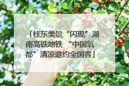 桂东美景“闪现”湖南高铁地铁 “中国氧都”清凉邀约全国客
