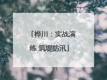 桦川：实战演练 筑堤防汛