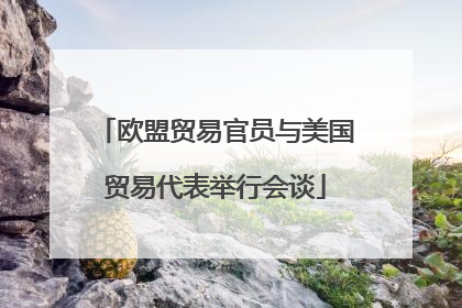 欧盟贸易官员与美国贸易代表举行会谈