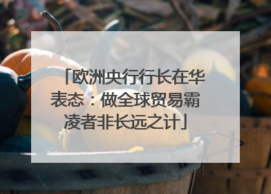 欧洲央行行长在华表态：做全球贸易霸凌者非长远之计