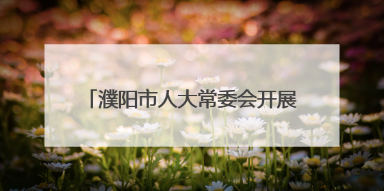 濮阳市人大常委会开展主任接待代表日活动