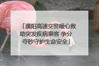 濮阳高速交警暖心救助突发疾病乘客 争分夺秒守护生命安全
