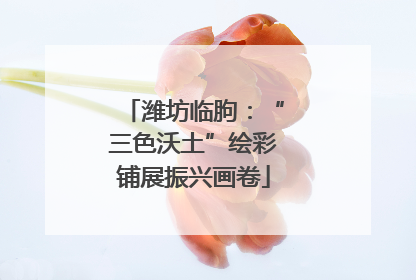 潍坊临朐：“三色沃土”绘彩铺展振兴画卷