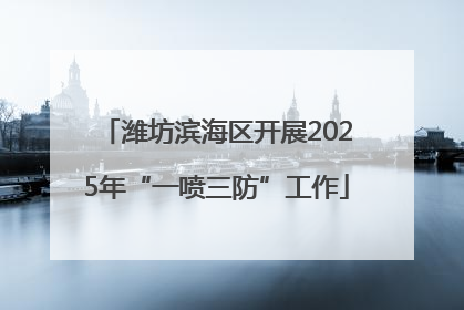 潍坊滨海区开展2025年“一喷三防”工作