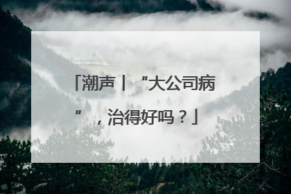 潮声丨“大公司病”，治得好吗？