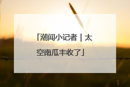 潮闻小记者｜太空南瓜丰收了