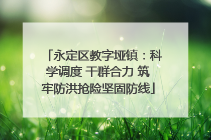 永定区教字垭镇：科学调度 干群合力 筑牢防洪抢险坚固防线