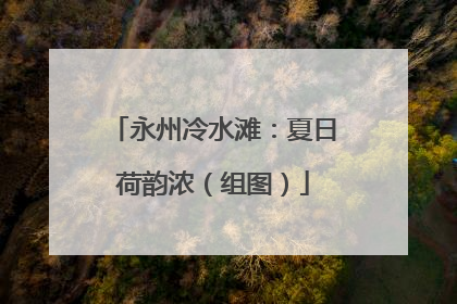 永州冷水滩：夏日荷韵浓（组图）