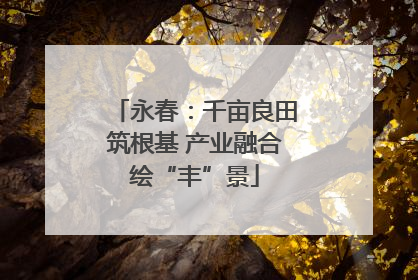 永春：千亩良田筑根基 产业融合绘“丰”景
