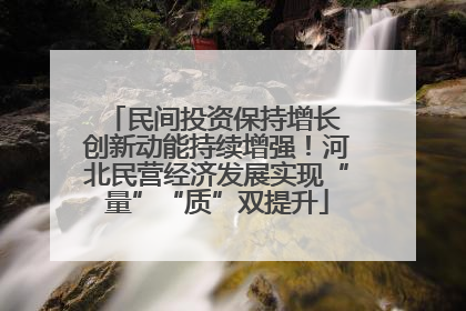 民间投资保持增长 创新动能持续增强！河北民营经济发展实现“量”“质”双提升