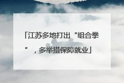 江苏多地打出“组合拳”，多举措保障就业